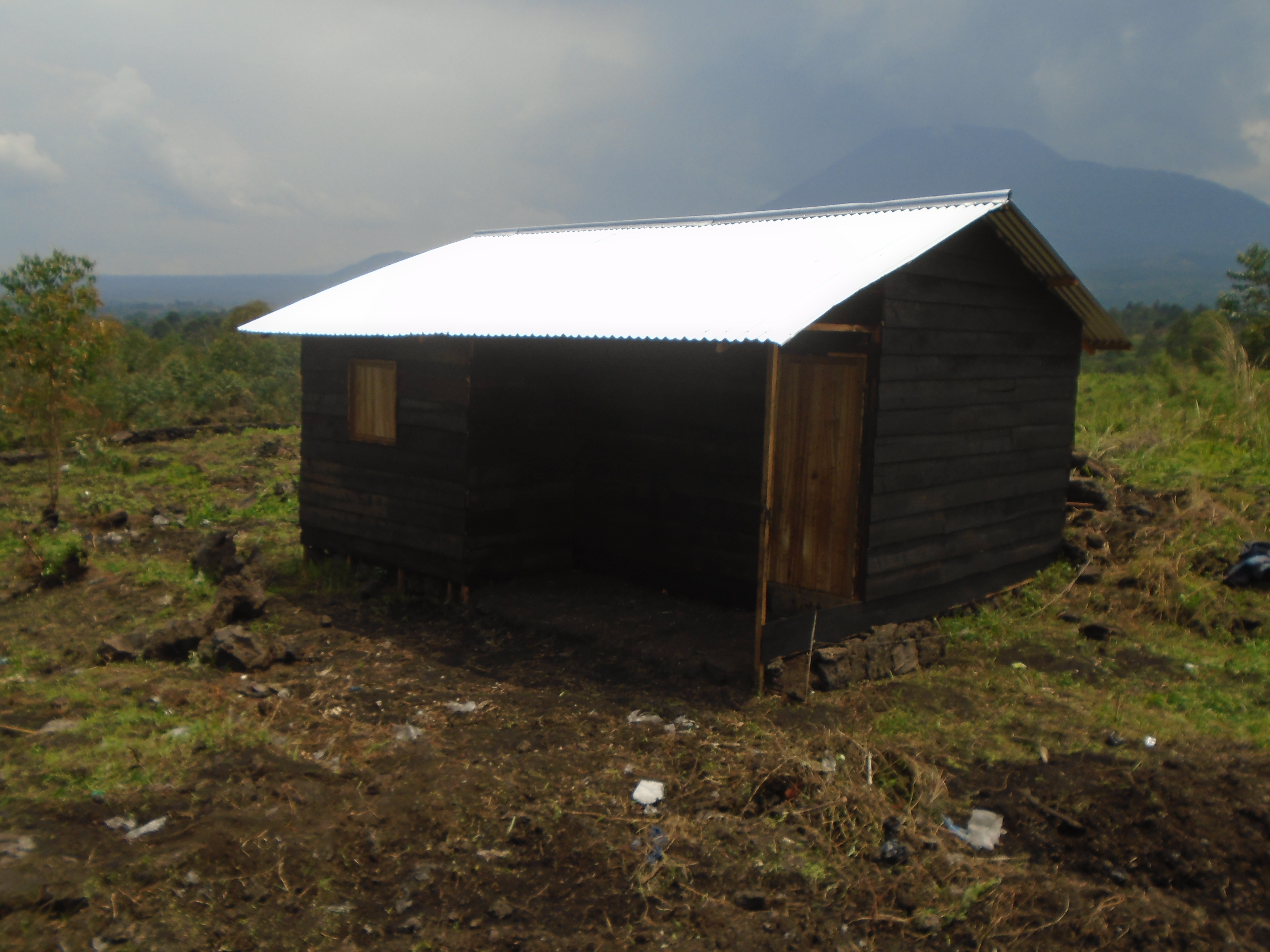 Construction des abris en faveur de personnes en détresse au Nord Kivu (2)